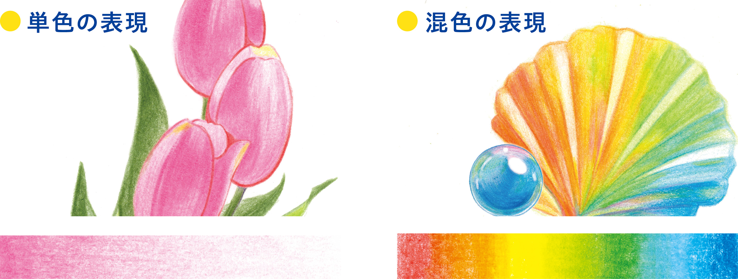◇色彩@プロフ読んでね❀ 08.04 更新◇ ◇色彩@プロフ読んでね❀ 08.04 