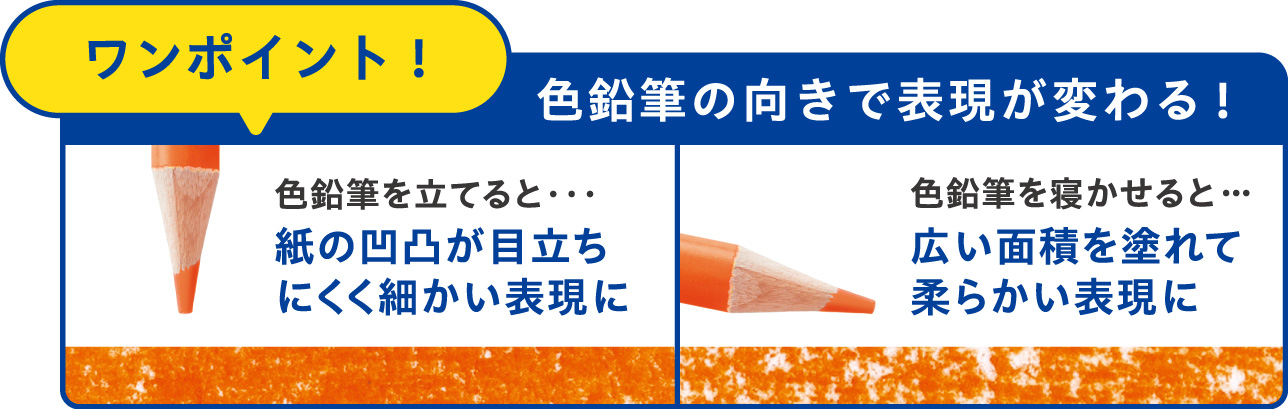 色鉛筆画A4キジシロ38 hqdefault.jpg