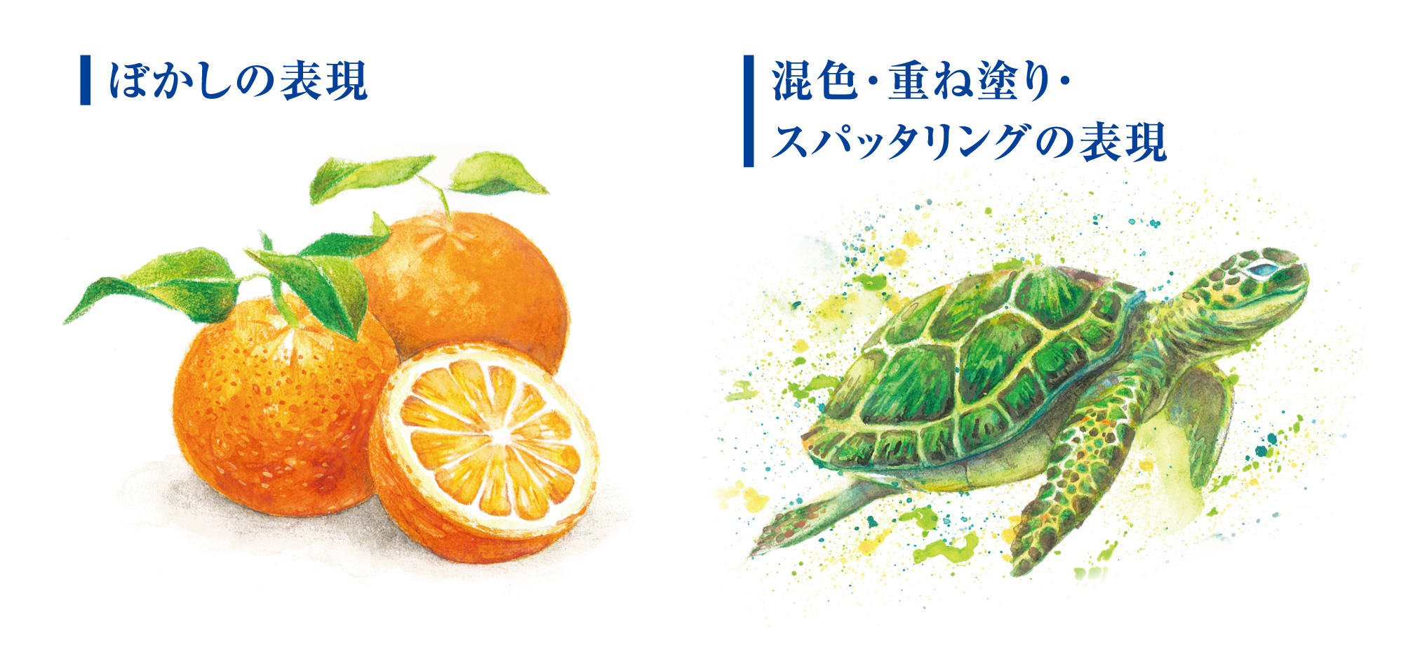 滑らかで鮮やか発色の「Artline 色鉛筆LIBERIO（リベリオ）」＆多彩な